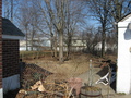 Back yard