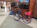 capeCodBikeRide01.jpg
