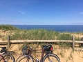 capeCodBikeRide13M.jpg