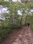 capeCodBikeRide19M3.jpg
