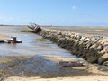 capeCodBikeRide24M.jpg