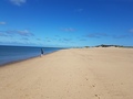 capeCodBikeRide29.jpg