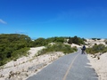 capeCodBikeRide31.jpg