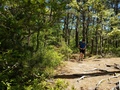capeCodBikeRide36.jpg