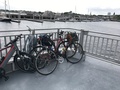 capeCodBikeRide39M.jpg