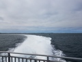 capeCodBikeRide42.jpg