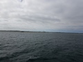 capeCodBikeRide43.jpg